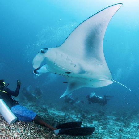 South Ari Dive Center Hotel Dhangethi Екстериор снимка