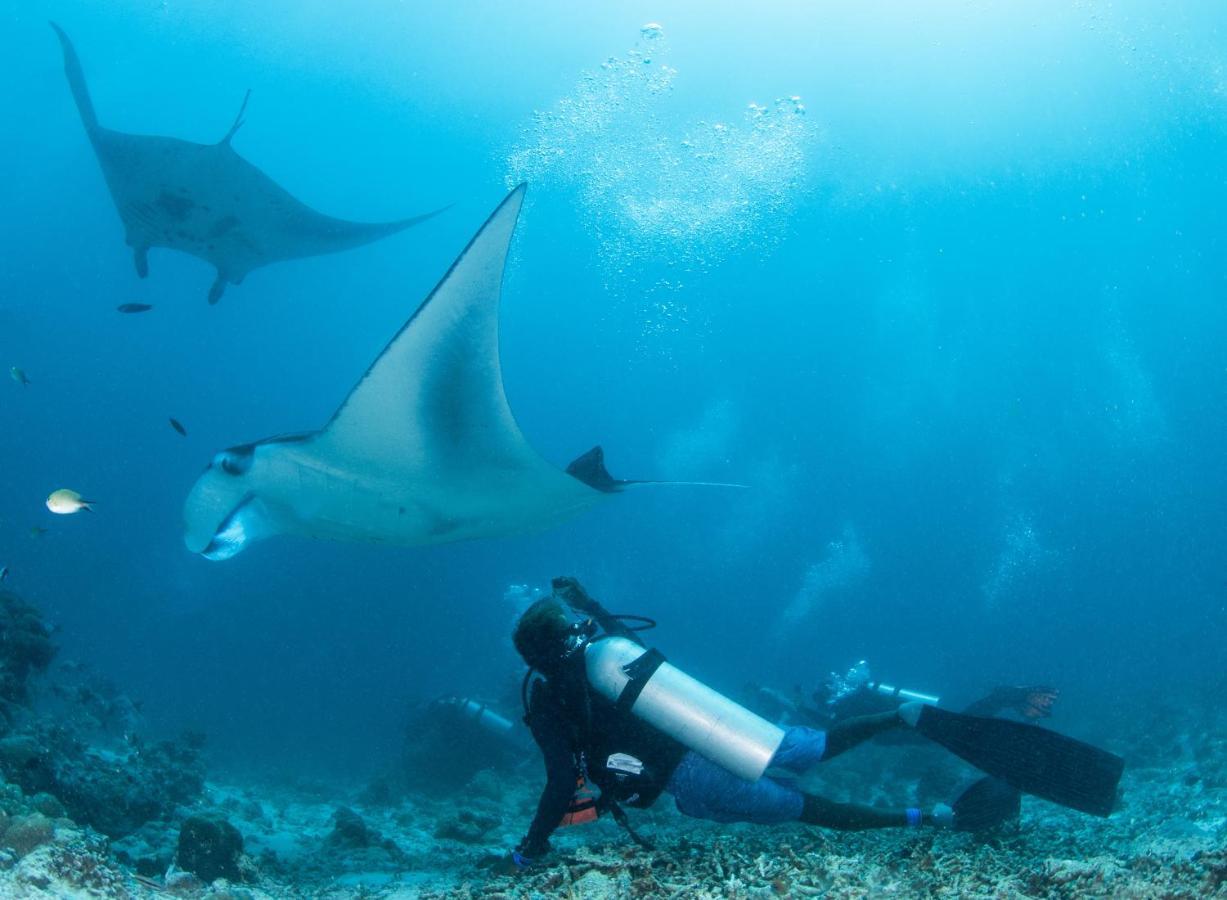 South Ari Dive Center Hotel Dhangethi Екстериор снимка