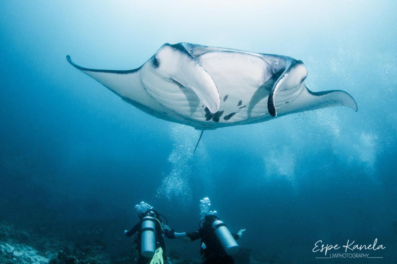 South Ari Dive Center Hotel Dhangethi Екстериор снимка