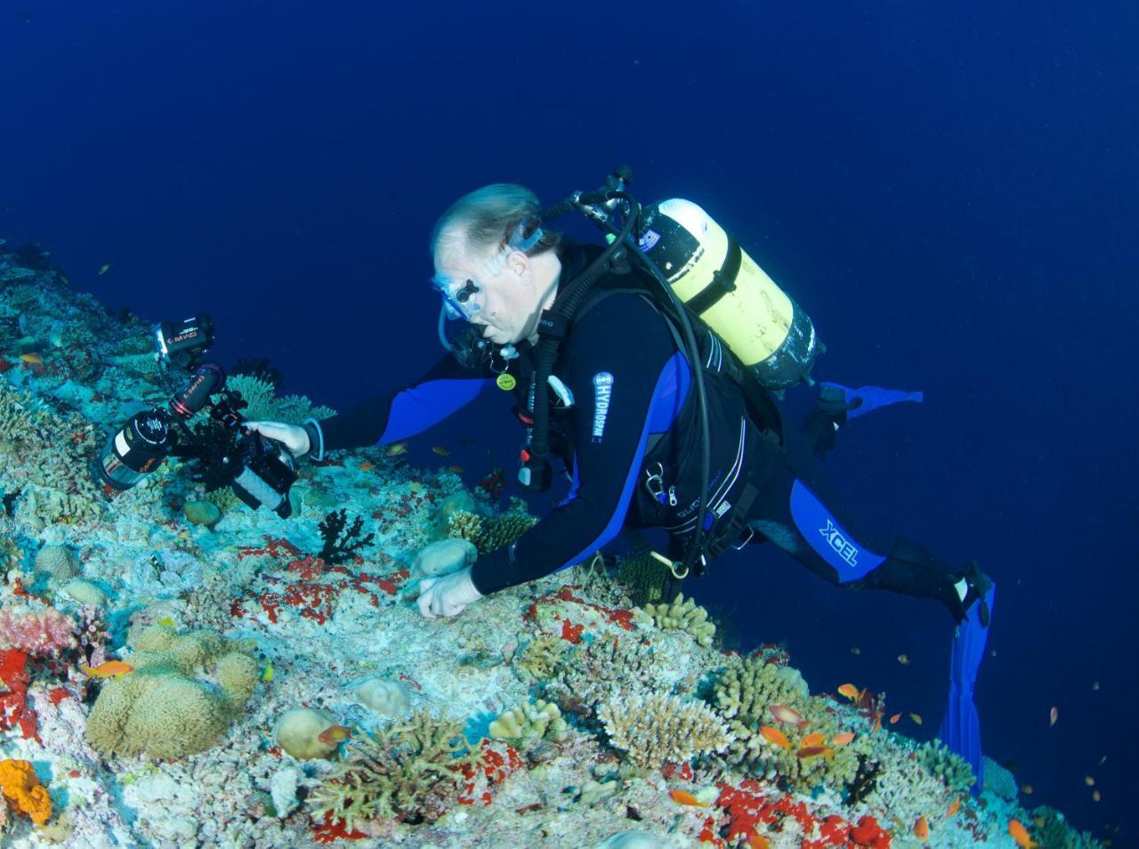 South Ari Dive Center Hotel Dhangethi Екстериор снимка