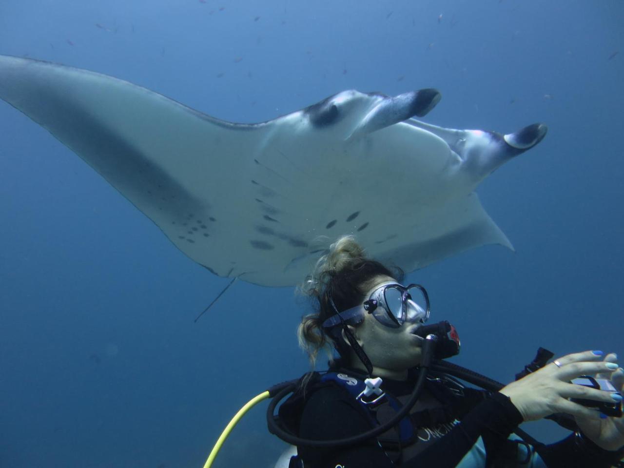 South Ari Dive Center Hotel Dhangethi Екстериор снимка