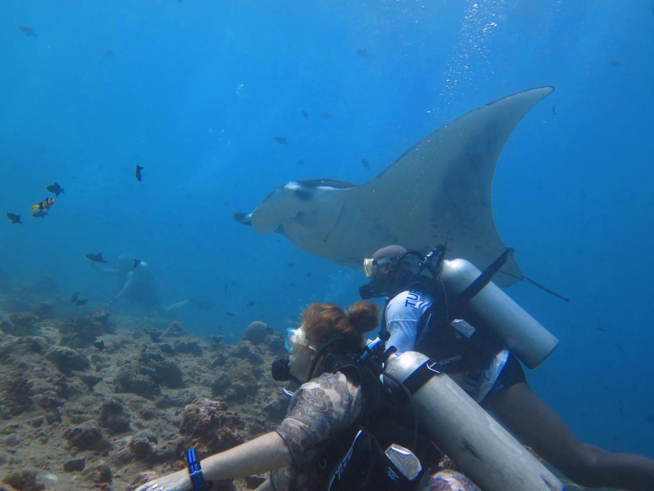 South Ari Dive Center Hotel Dhangethi Екстериор снимка