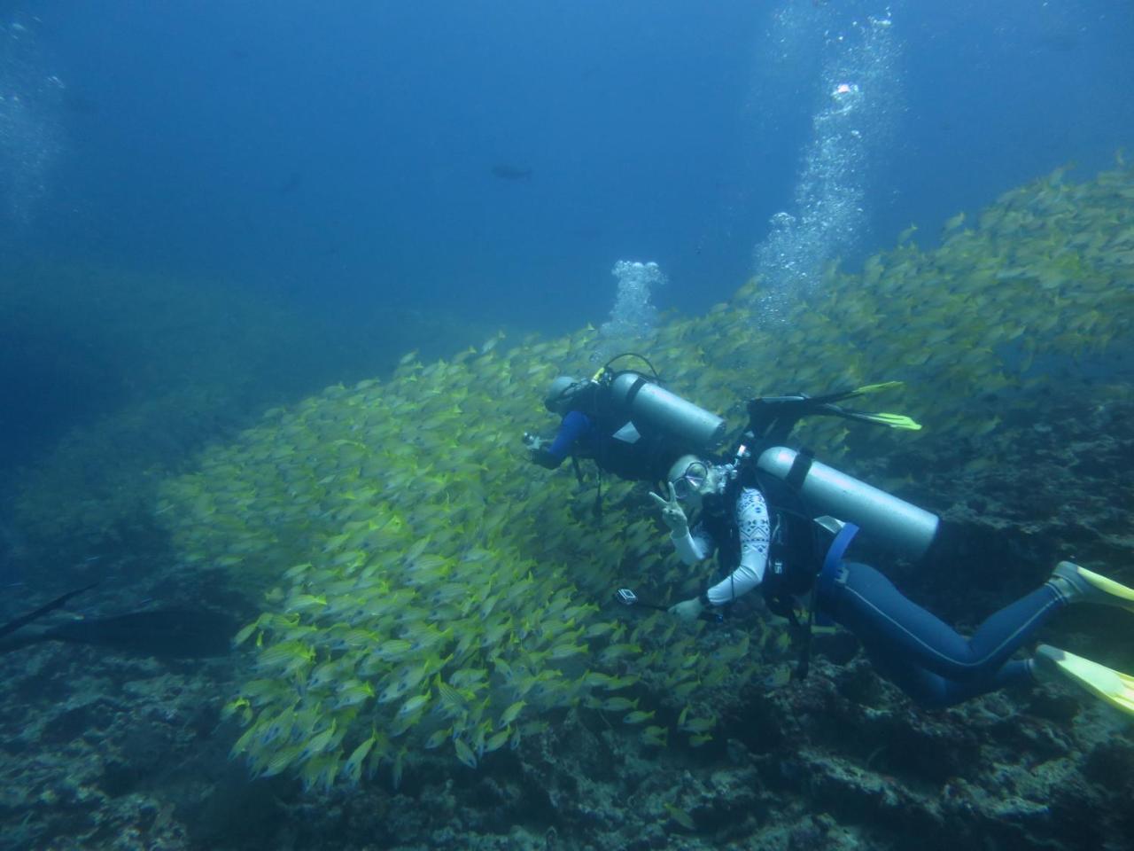 South Ari Dive Center Hotel Dhangethi Екстериор снимка