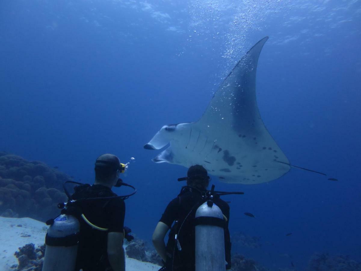 South Ari Dive Center Hotel Dhangethi Екстериор снимка