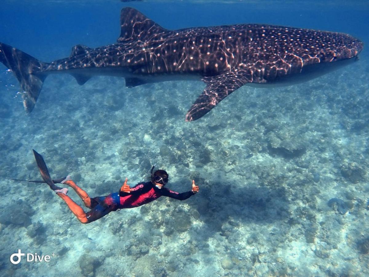 South Ari Dive Center Hotel Dhangethi Екстериор снимка